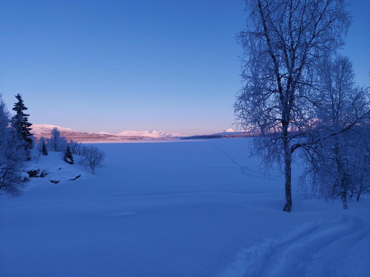 Villmarksgard Tommerstue Hattfjelldal Exterior foto